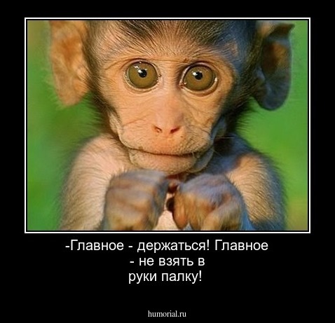 -Главное - держаться! Главное - не взять в руки палку!