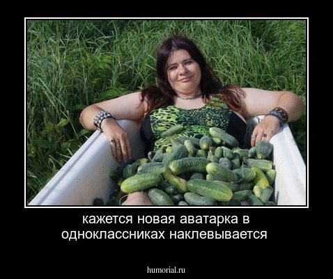 кажется новая аватарка в одноклассниках наклевывается