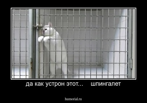 да как устрон этот...    шпингалет