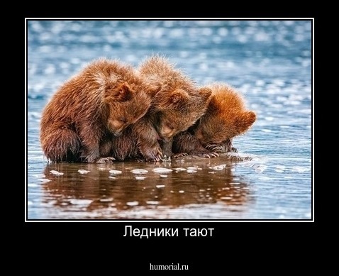 Ледники тают