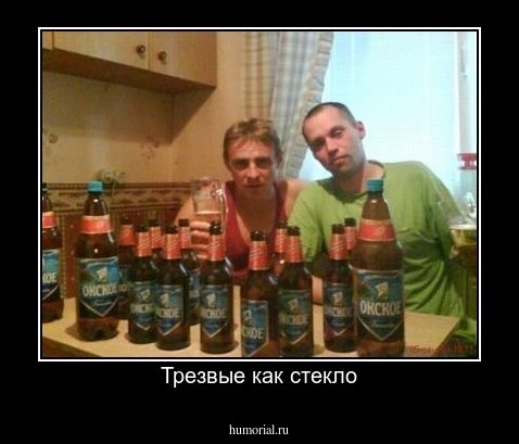 Трезвые как стекло