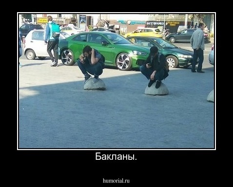 Бакланы.