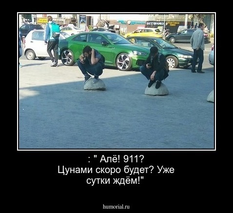 : " Алё! 911? Цунами скоро будет? Уже сутки ждём!"