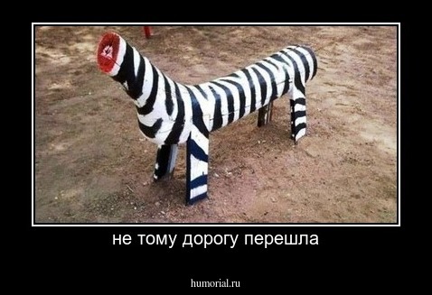 не тому дорогу перешла