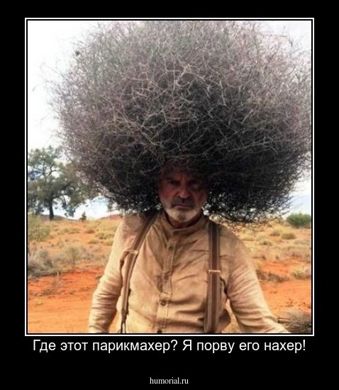 Где этот парикмахер? Я порву его нахер!