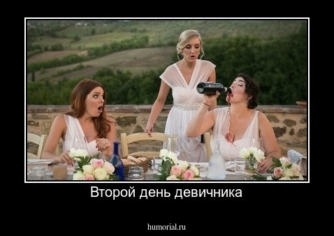 Второй день девичника