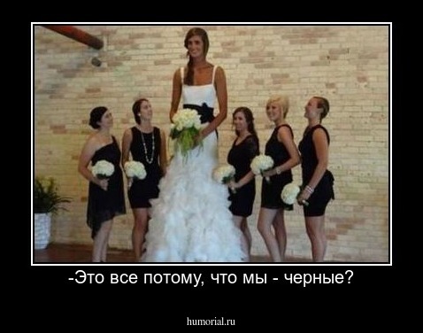 -Это все потому, что мы - черные?