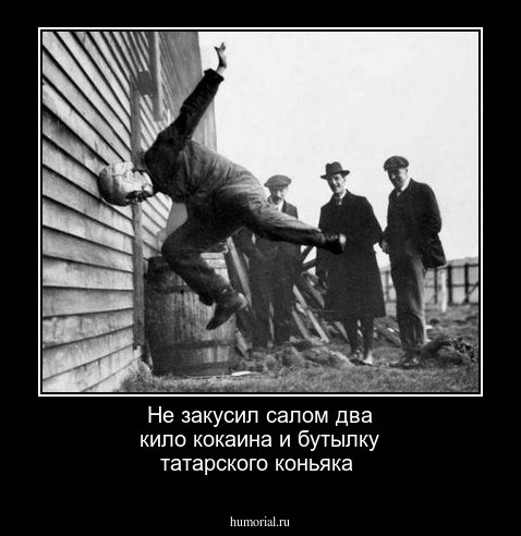 Не закусил  салом  два кило кокаина и бутылку татарского коньяка 
