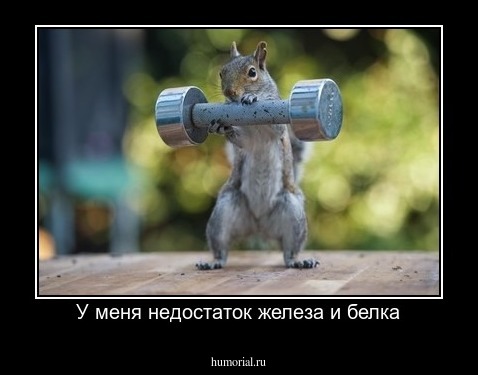У меня недостаток железа и белка