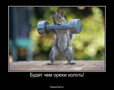 Будет чем орехи колоть!