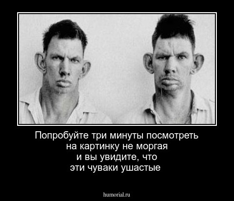 Попробуйте три минуты посмотреть на  картинку  не моргая и вы увидите, что эти чуваки  ушастые