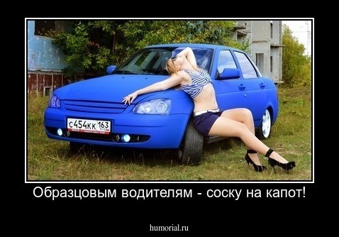 Образцовым водителям - соску на капот!