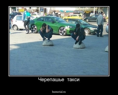 Черепашье  такси