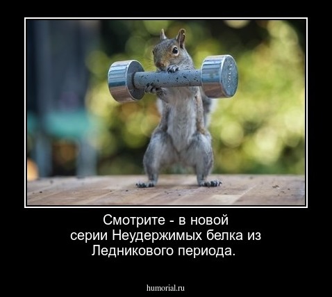 Смотрите  - в новой серии Неудержимых белка из Ледникового периода.
