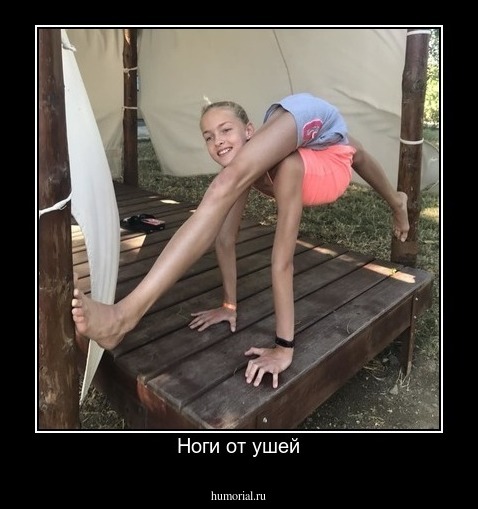 Ноги от ушей
