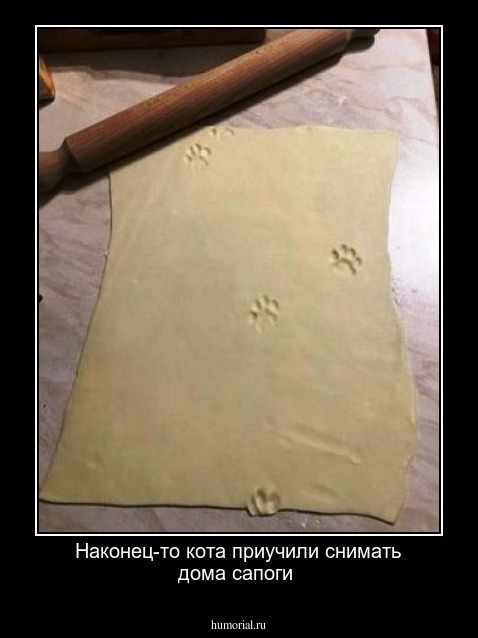 Наконец-то кота приучили снимать дома сапоги