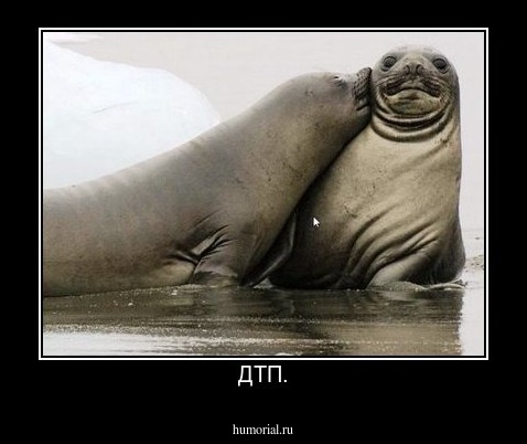 ДТП.