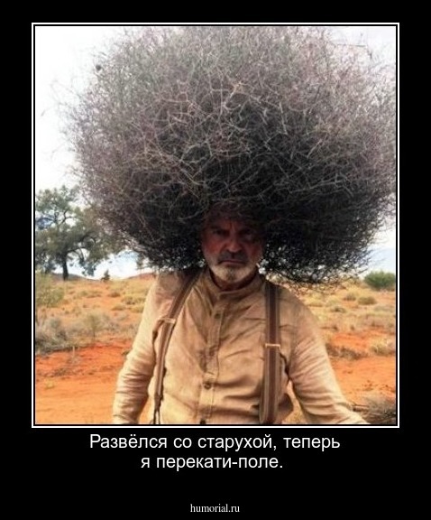 Развёлся со старухой, теперь я перекати-поле.