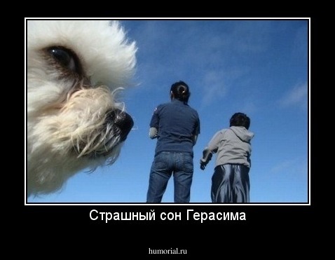 Страшный сон Герасима