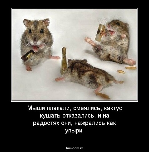 Мыши плакали, смеялись, кактус кушать отказались, и на радостях они, нажрались как упыри 
