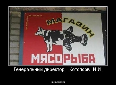 Генеральный директор - Котопсов  И.И.
