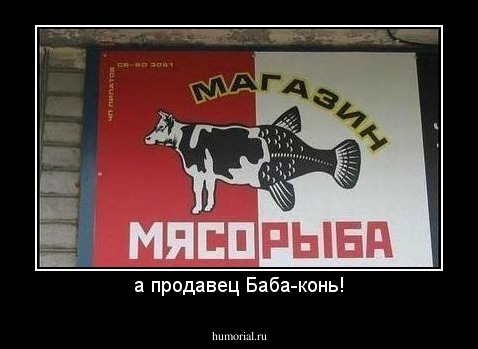 а продавец Баба-конь!