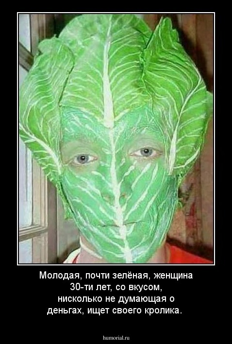 Молодая, почти зелёная, женщина 30-ти лет, со вкусом, нисколько не думающая о деньгах, ищет своего кролика.