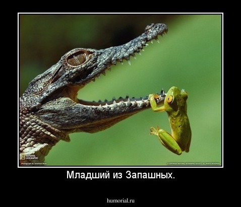 Младший из Запашных.