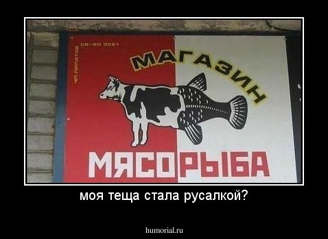 моя теща стала русалкой?
