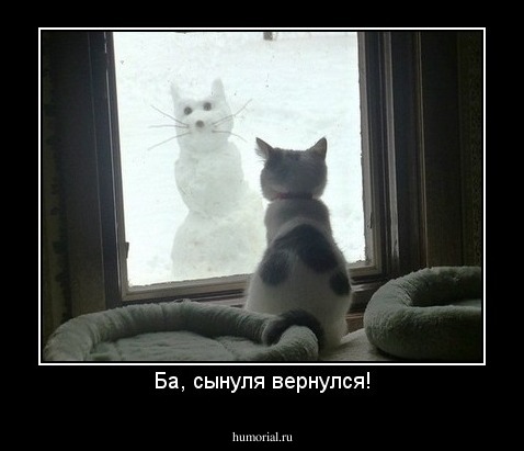 Ба, сынуля вернулся!