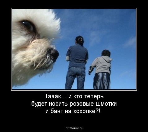 Тааак... и кто теперь будет носить розовые шмотки и бант на хохолке?! 