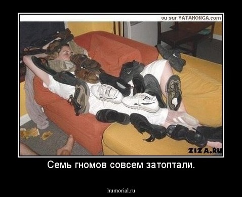 Семь гномов совсем затоптали.