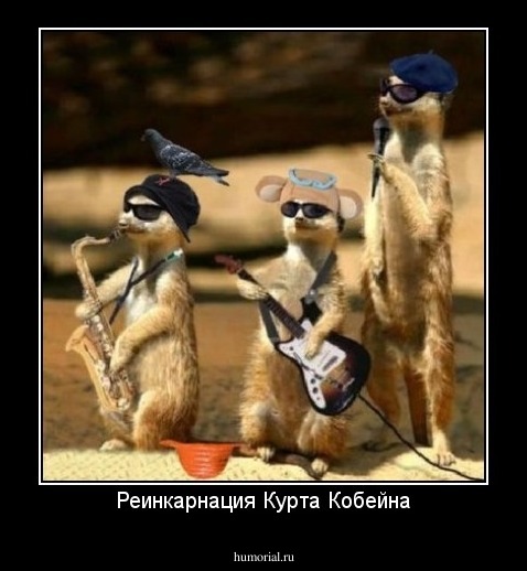 Реинкарнация Курта Кобейна
