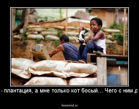Брату - плантация, а мне только кот босый... Чего с ним делать?