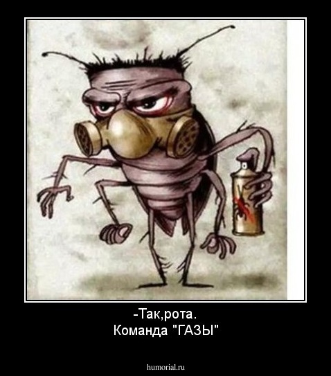 -Так,рота.
Команда "ГАЗЫ"