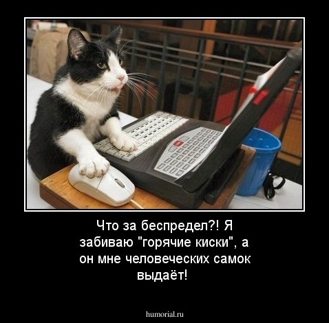 Что за беспредел?! Я забиваю "горячие киски", а он мне человеческих самок выдаёт!