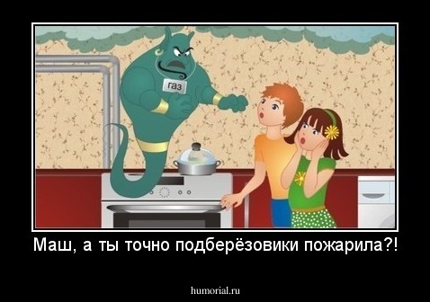 Маш, а ты точно подберёзовики пожарила?!