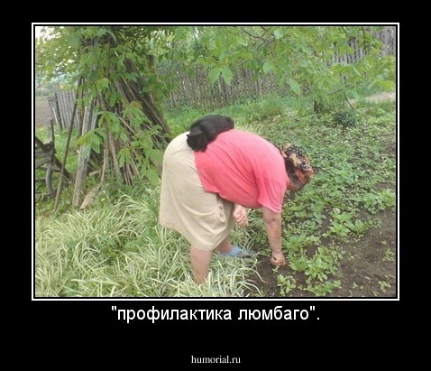 "профилактика люмбаго".