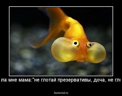 говорила мне мама:"не глотай презервативы, доча, не глотай!!!"