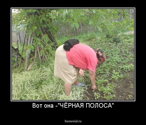 Вот она -"ЧЁРНАЯ ПОЛОСА"