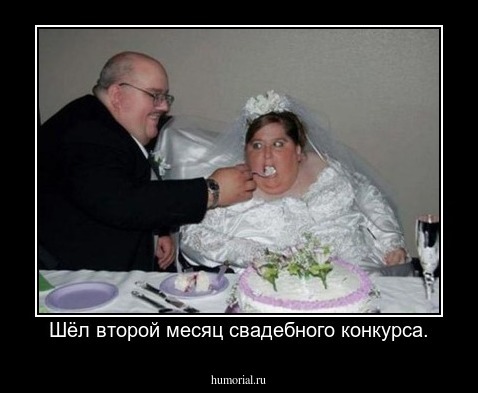 Шёл второй месяц свадебного конкурса.