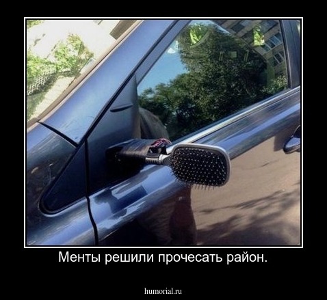 Менты решили прочесать район.