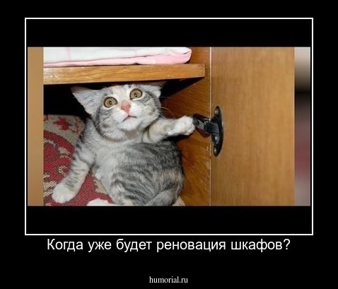 Когда уже будет реновация шкафов?