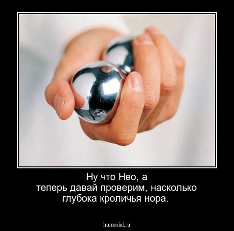 Ну что Нео, а теперь давай  проверим, насколько глубока кроличья нора.