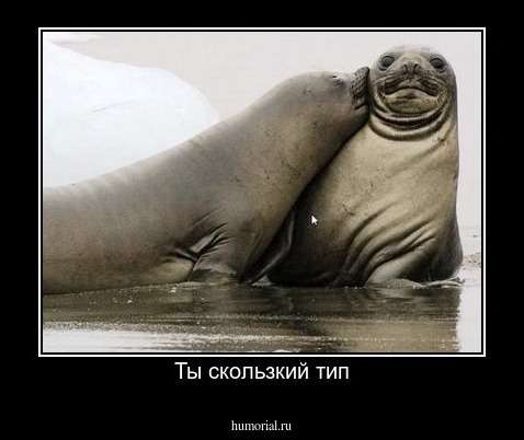 Ты скользкий тип