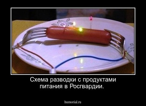 Схема разводки с продуктами питания в Росгвардии.