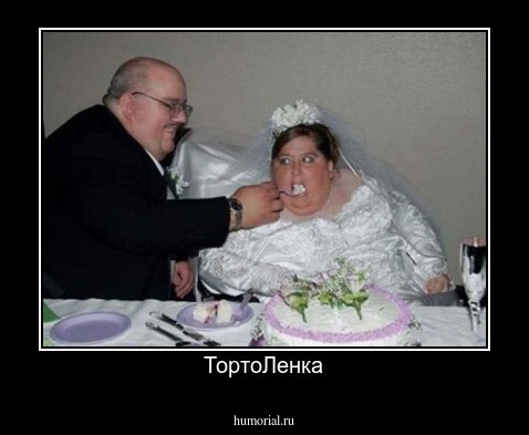 ТортоЛенка