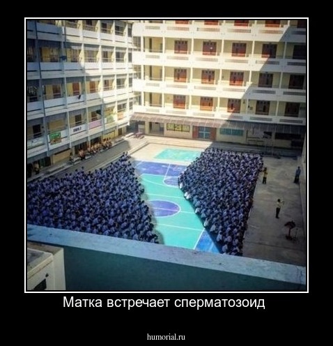 Матка встречает сперматозоид 