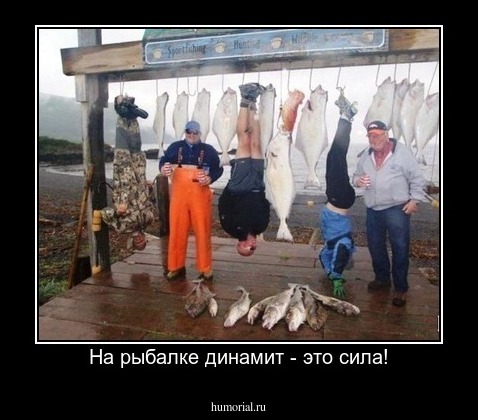 На рыбалке динамит - это сила!