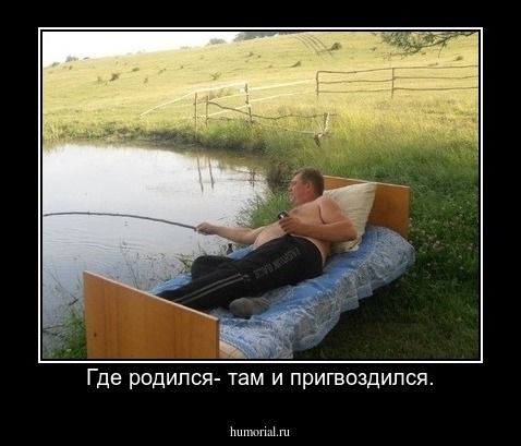 Где родился- там и пригвоздился.